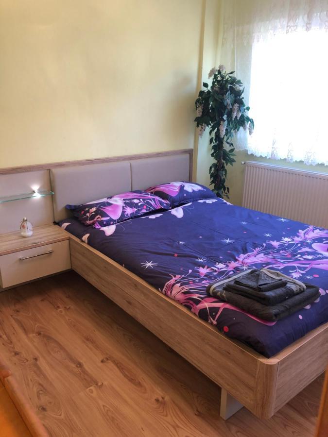 La Symo Apartament Straja Lupeni Lupeni  Dış mekan fotoğraf