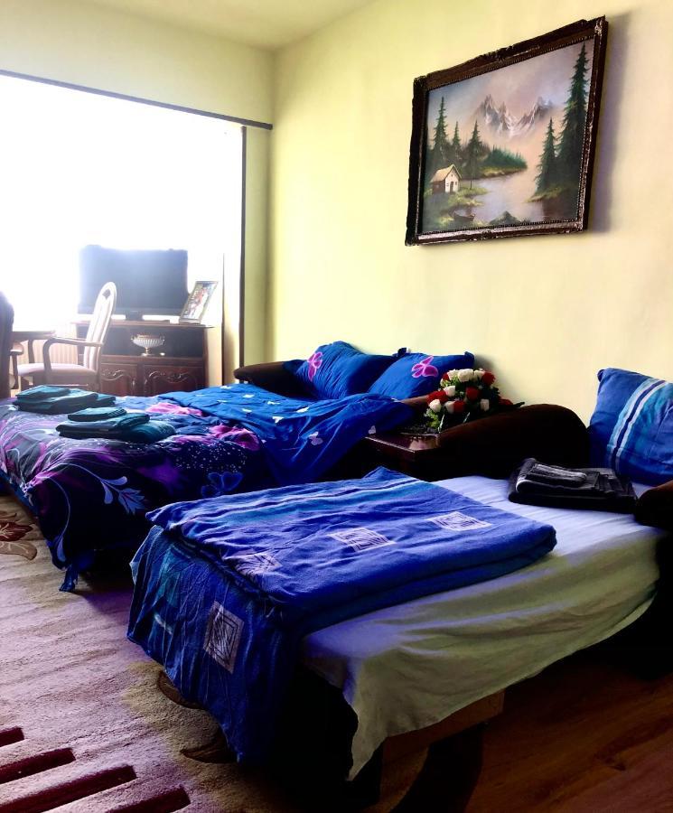 La Symo Apartament Straja Lupeni Lupeni  Dış mekan fotoğraf