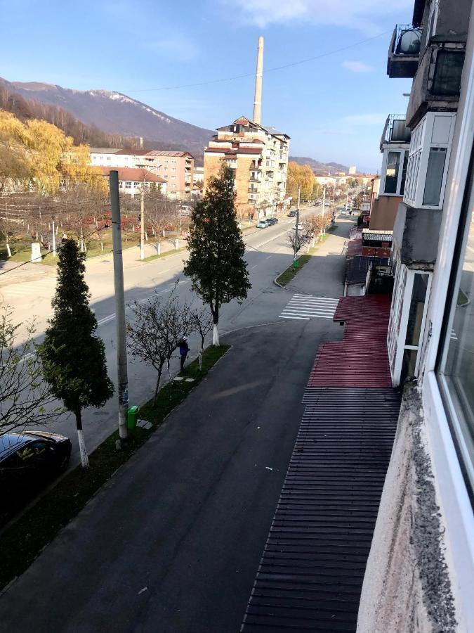 La Symo Apartament Straja Lupeni Lupeni  Dış mekan fotoğraf