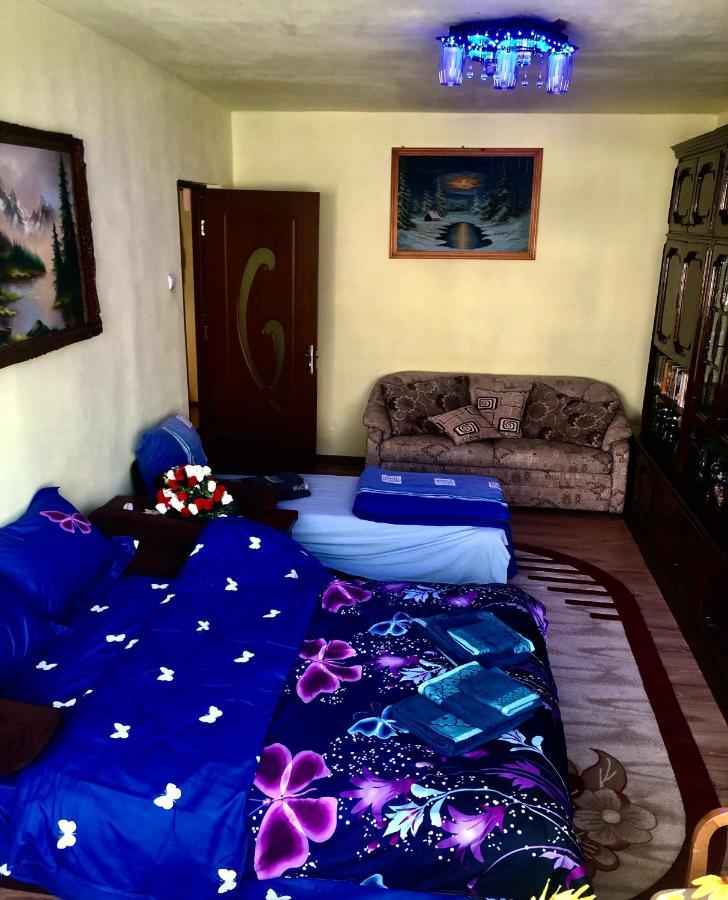 La Symo Apartament Straja Lupeni Lupeni  Dış mekan fotoğraf
