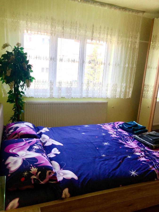 La Symo Apartament Straja Lupeni Lupeni  Dış mekan fotoğraf