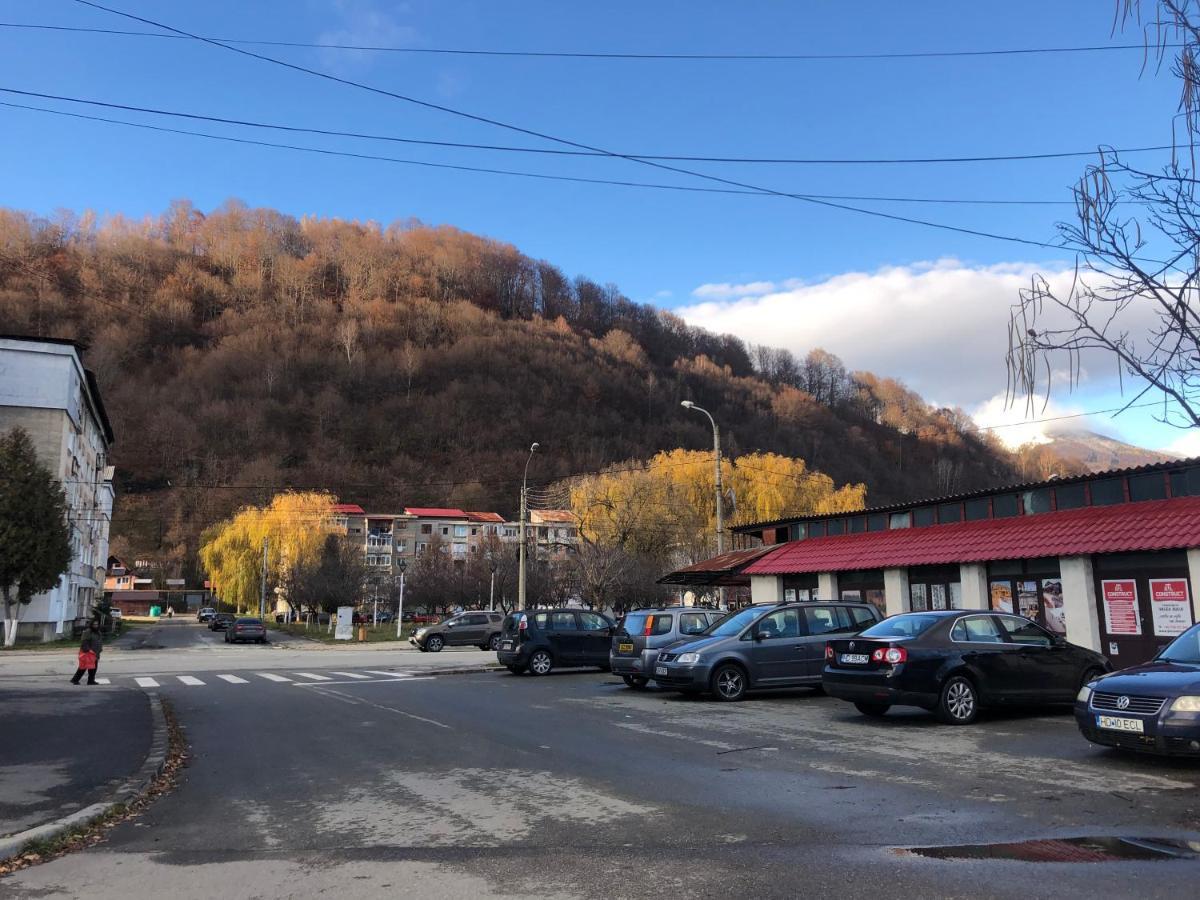 La Symo Apartament Straja Lupeni Lupeni  Dış mekan fotoğraf