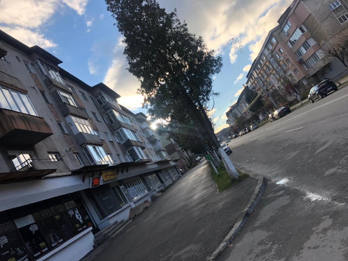 La Symo Apartament Straja Lupeni Lupeni  Dış mekan fotoğraf
