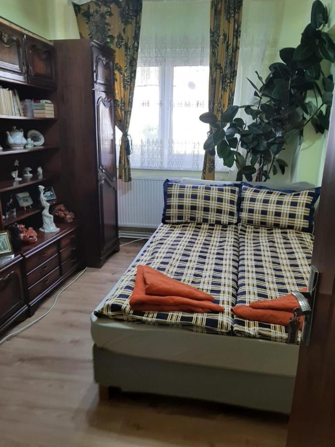 La Symo Apartament Straja Lupeni Lupeni  Dış mekan fotoğraf